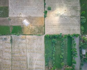 vacant land property tax appeal